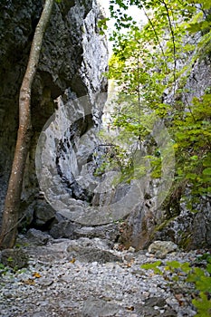 Kvacany - Prosiek valley - one of the many gorges in the valley