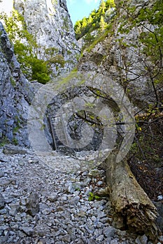 Kvačany - dolina Prosiek - jedna z mnohých roklín v doline s turistickým rebríkom