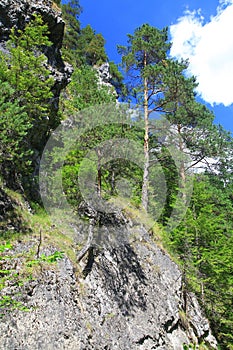 Kvacianska dolina - valley in region Liptov, Slovakia