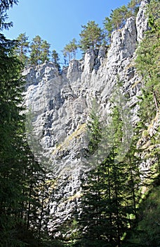 Kvacianska dolina - valley in region Liptov, Slovakia