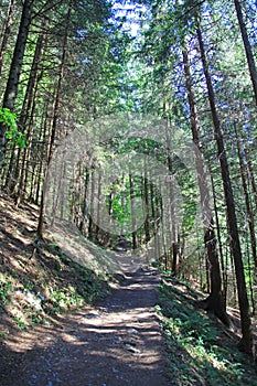 Kvacianska dolina - valley in region Liptov, Slovakia