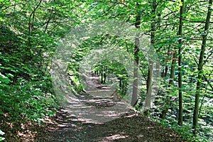 Kvacianska dolina - valley in region Liptov, Slovakia