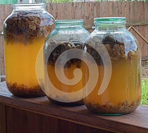 Kvass in banks