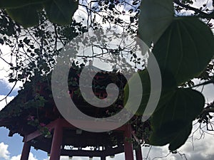 Kwai Yi Ting, Pavilion of Happiness in Spring on Kauai Island, Hawaii.