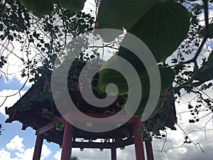 Kwai Yi Ting, Pavilion of Happiness in Spring on Kauai Island, Hawaii.