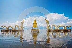 Kwan Phayao Phayao lake.