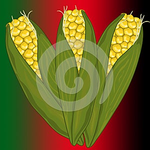 Kwanza corn2