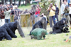 Kwita Izina ceremony