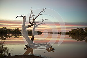 Kyabra creek  in far outback Queensland.