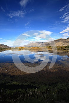 Kyi river and poplar trees