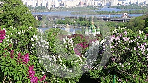 Kyiv Botanical Garden in spring, Ukraine