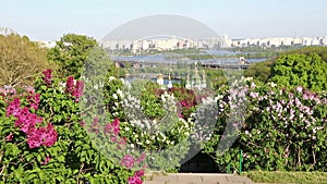 Kyiv Botanical Garden in spring, Ukraine