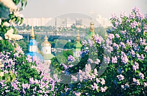 Kyiv city panoramic view with blooming lilac flowers and Orthodox churches on the banks of Dnipro River  Dnieper . Kiev in sprin