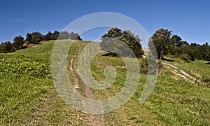 Kykula hill on Slovak-polish borders