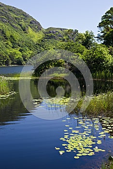 Kylemore Abbey & Victorian Walled Garden in county Galway