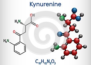 Kynurenine, l-Kynurenine, C10H12O3N2 molecule. It is a metabolite of the amino acid L-tryptophan used in the production of niacin