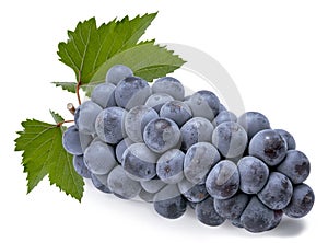 Kyoho Grape isolated on white background with clipping path. Black Wine grape isolated on white.