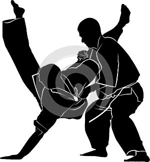 Kyokushinkai Karate. Vector karate flat