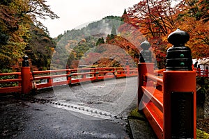 Kyoto autumn season