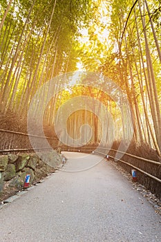 Kyoto bamboo forest and walked way Japan photo