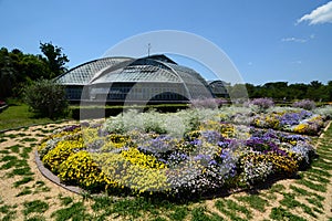 Kyoto Botanical Garden. Japan