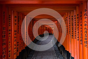 Kyoto Fushimi Inari Shrine (Fushimi Inari Taisha) - Gates Tunnel Pathway