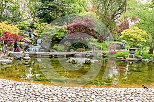 Kyoto garden in Holland park, London, UK photo