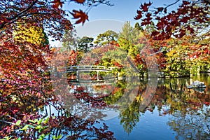 Kyoto Gardens