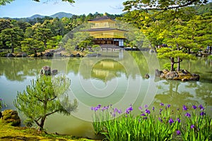 Kyoto golden house