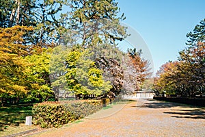 Kyoto Gyoen National Garden at spring in Japan