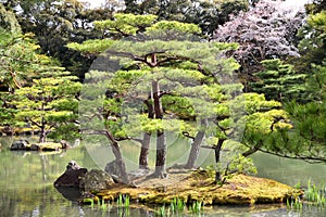 Kyoto, Japan