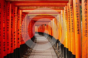 KYOTO, JAPAN - APRIL 02, 2019: Red Torii gates in Fushimi Inari shrine in Kyoto, Japan