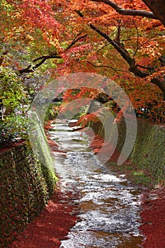 Kyoto, Japan - autumn Kitano Tenmangu
