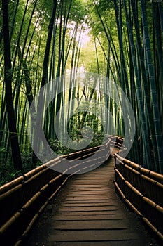 Kyoto Japan Bamboo Forest path. generative ai