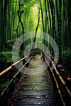 Kyoto Japan Bamboo Forest path. generative ai