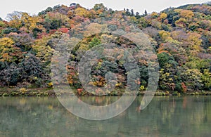 Kyoto foliage in Autumn Koyo photo