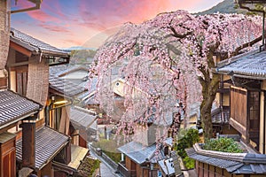 Kyoto, Japan in the Higashiyama district with cherry blossoms