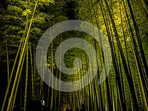 KYOTO, JAPAN - JULY 05, 2017: Unidentified people Beautiful view at bamboo forest at Arashiyama, Kyoto, Japan