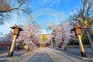 Hirano-jinja is the site of a cherry blossom festival annually since 985 during the reign of Emperor