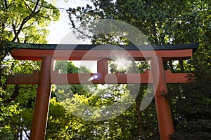 Kyoto, Japan - May 18, 2017: Torii gate of the Yasaka jinja shrine in Kyoto