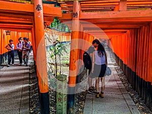 Torii Gates, Fushimi Inari Shrine, Kyoto, Japan