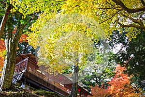 Kyoto, JAPAN - Nov 16, 2013: A pavilion at Jingo-ji, Japan. Jing