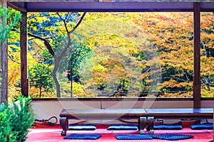 Kyoto, JAPAN - Nov 16, 2013: A pavilion at Jingo-ji, Japan. Jing