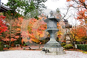 Kyoto, Japan - Nov 25, 2016. beautiful autumn garden with ancient lanterns and color of Japan maple leaves  on tree at the park at