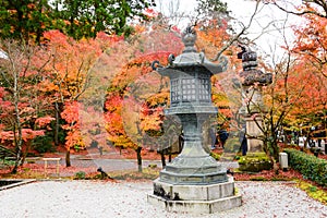 Kyoto, Japan - Nov 25, 2016. beautiful autumn garden with ancient lanterns and color of Japan maple leaves  on tree at the park at