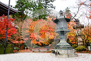 Kyoto, Japan - Nov 25, 2016. beautiful autumn garden with ancient lanterns and color of Japan maple leaves  on tree at the park at