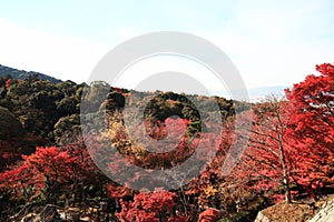 Kyoto; Japan - November 25, 2017 : the Kiyomizu Dera temple