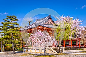 Kyoto Japan Spring