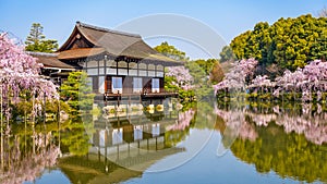 Kyoto, Japan spring at Heian Shrine`s pond garden