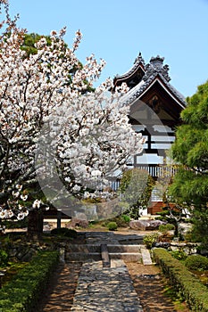 Arashiyama - Tenryuji temple